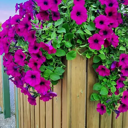 公寓 Vintage Four *