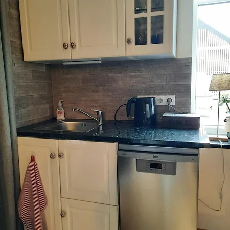 公寓 Vintage Four 哈普萨卢